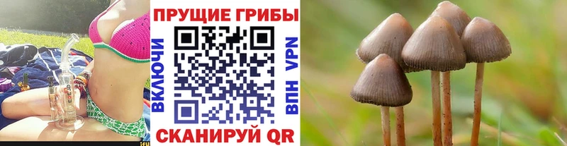 Купить закладки  Межгорье  Галлюциногенные грибы MAGIC MUSHROOMS 